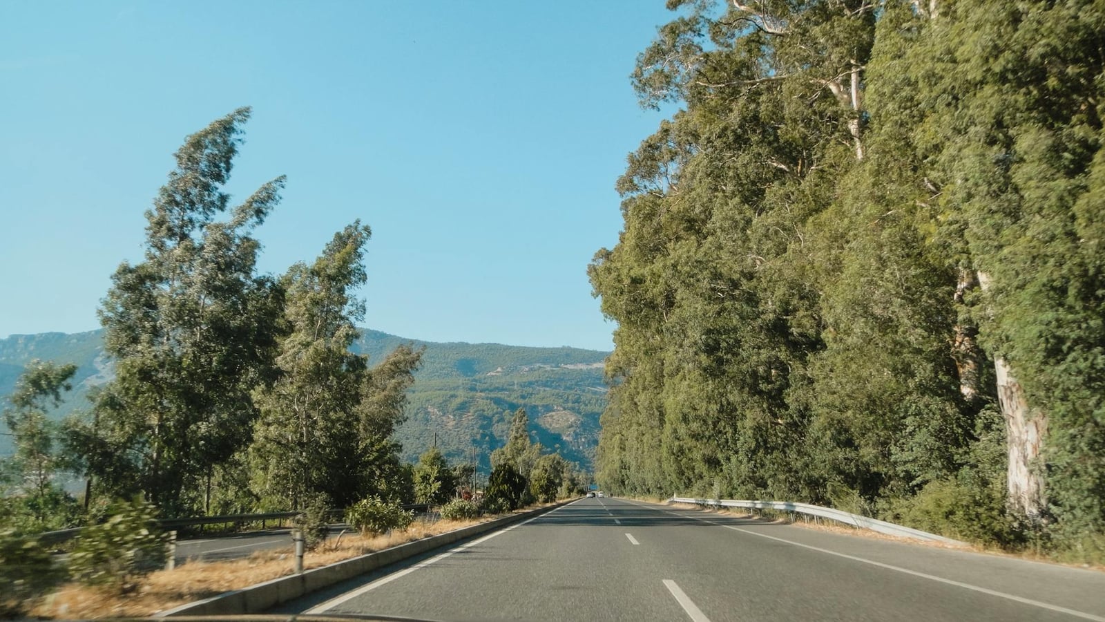 Route boisée des crêtes Paštrovići au-dessus de Budva